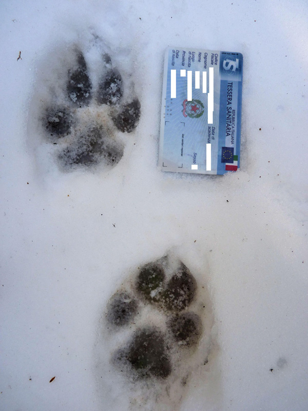 Impronte sul Gargano